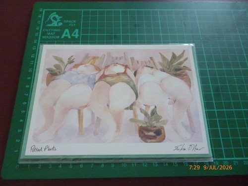 Erika oller potted plants - oller,