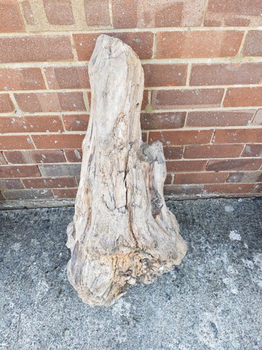 Xxl aquarium bogwood - xl,