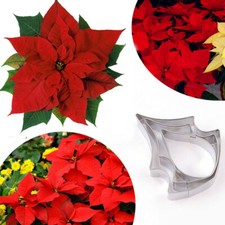 Poinsettia Flower Cutting Mold Fondant Cake Petal Cutters Mould Sugarcraft Tool