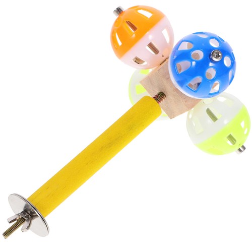 Parrot training stand bird - training,