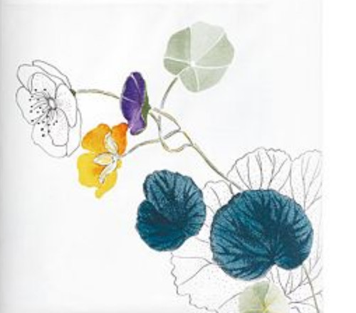 New yves delorme pavot - new,