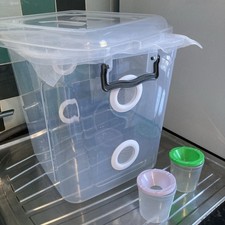 Stick Insect Large Enclosure +