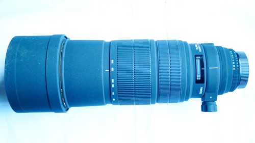 Sigma nikon fit hsm - fit,
