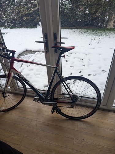 Giant rapid road bike - giant, xl