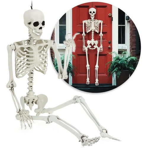 Human skeleton full - skeleton,
