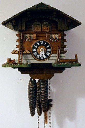 German black forrest cuckoo - forrest,