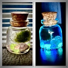 Self Sustaining Mini Marimo Moss Ecosystem! LGlow In Dark And Gemstones. Live