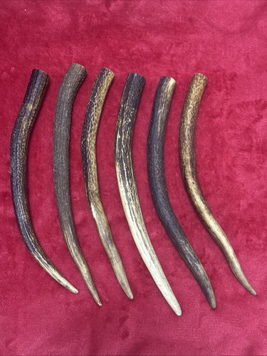 Pieces deer antlers - 6, 466g