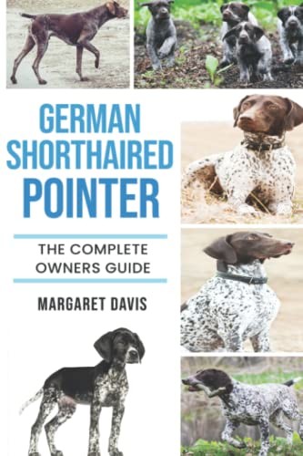 German shorthaired pointer - shorthaired,