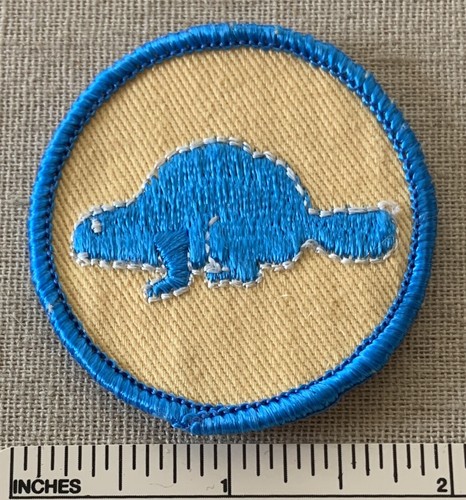Vintage beaver patrol - beaver, boy