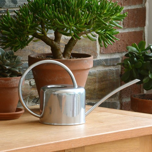 Indoor watering can silver - indoor,