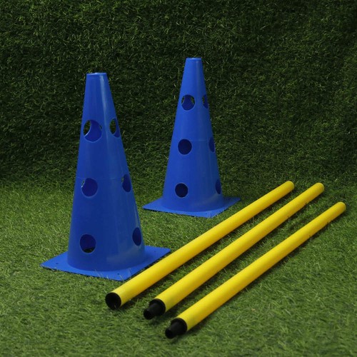 Pet agility cone - pet,