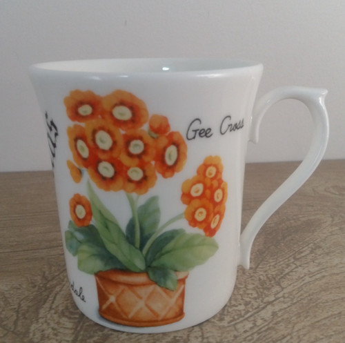Crown trent auriculas elmo - trent, st