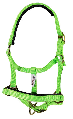 Miniature horse nylon halter - nylon,