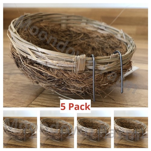 Canary nest pans coco - canary,