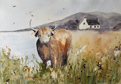 Highland cow original - highland, cow: