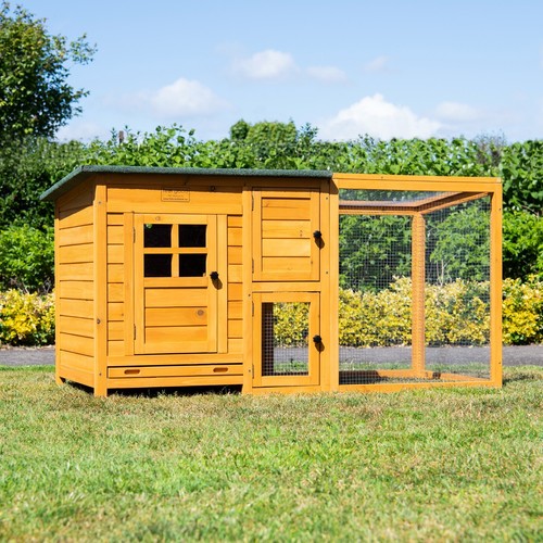 Chicken coop run hen house - hen,