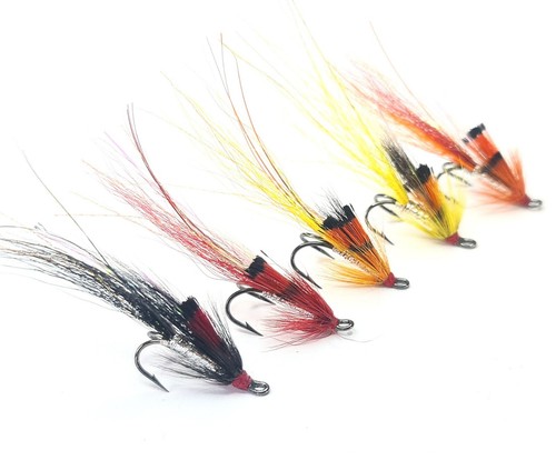 Ally shrimp wild - ally's, boars