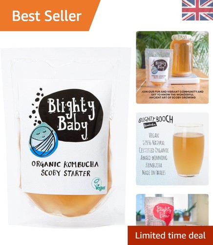 Live culture kombucha scoby - kombucha,