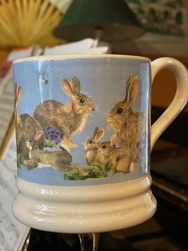 Emma bridgewater bright - bridgewater,