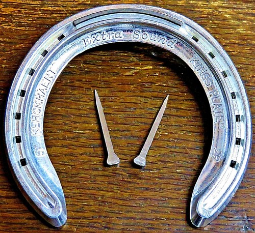 Wedding horseshoe real - horseshoe,