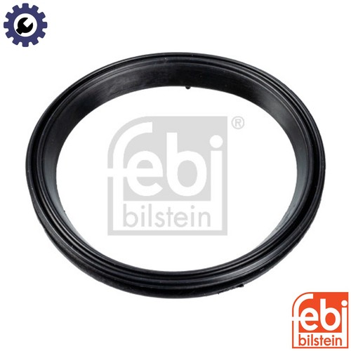 Gasket timing case cover - case,