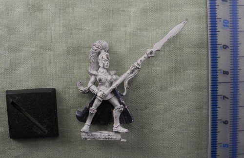High elf maiden - maiden, guard