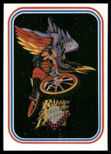 Raleigh 1984 BMX Bike Racing