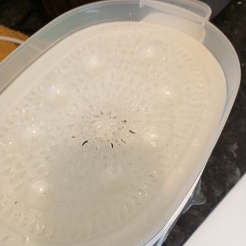 Morphy richards food steamer - morphy,