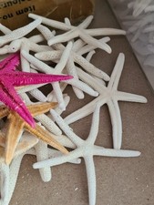 Wonky White Starfish Imperfect