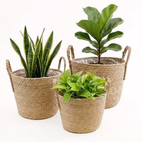 Round seagrass planter baskets - round,