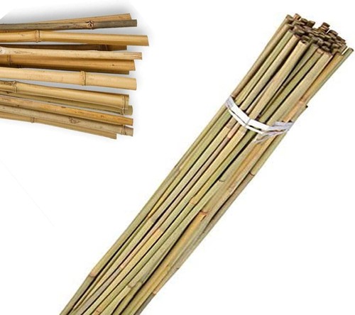 5ft bamboo canes garden plant - 5ft,