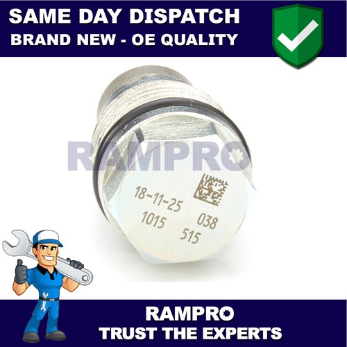 Rampro diesel fuel rail - rampro,
