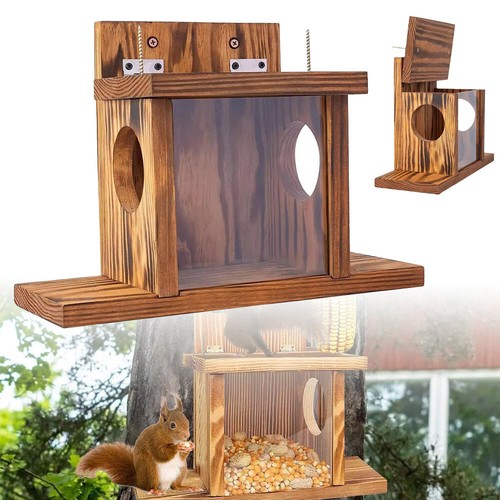 Garden squirrel feeder - garden,