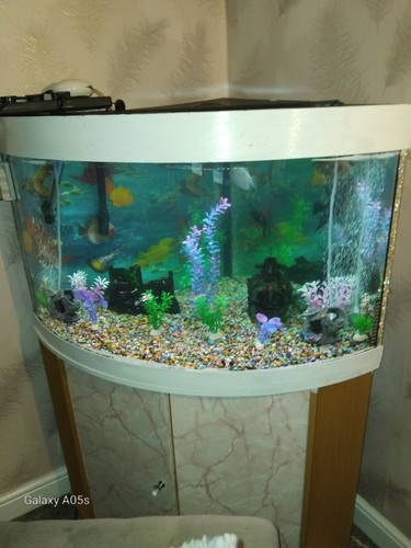 Jewel 190 fish tank - jewel,