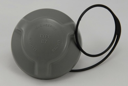 Valve cap strap - strap, rib