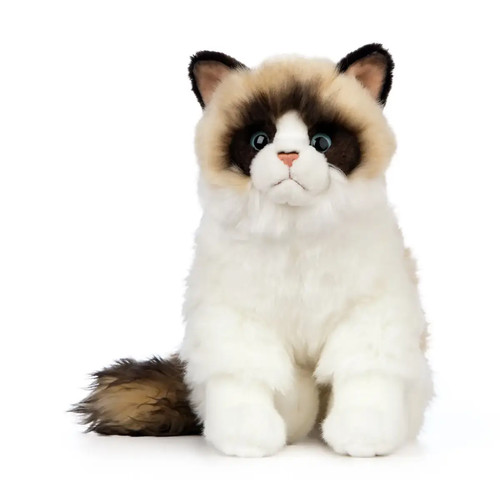 Living nature an567 - nature, ragdoll