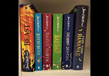 David Walliams Book Bundle 6
