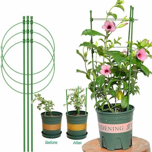 75cm garden plant - 75cm, support