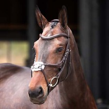 Shires Velociti Lusso Elite Grackle Bridle - Black or Havana | Equestrian Tack