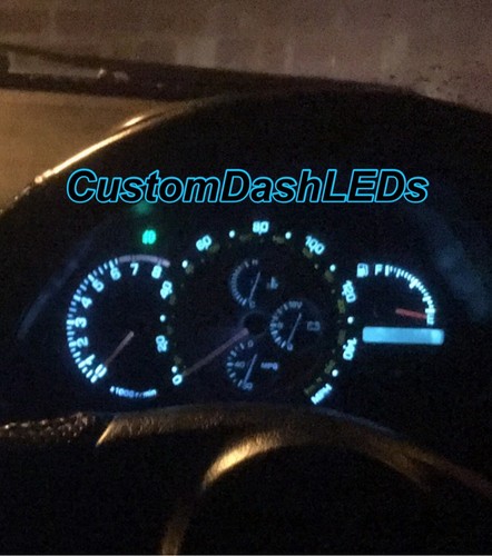 Ice baby blue speedo - /, only