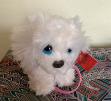 Cuddly, Keel toy, labradoodle