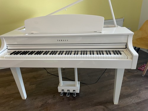Baby grand electric piano - grand,