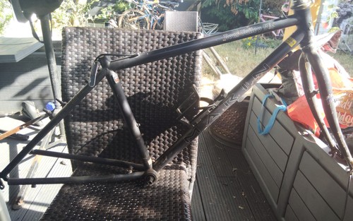 Marin bear valley - bear, frameset