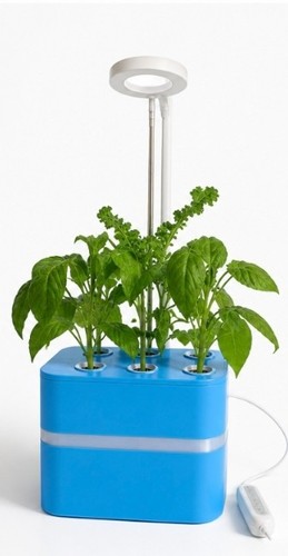 Hydroponic growing kit - hydroponic,
