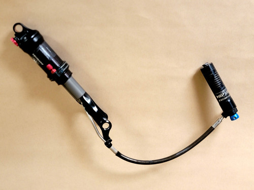 Specialized brain shock - brain, for