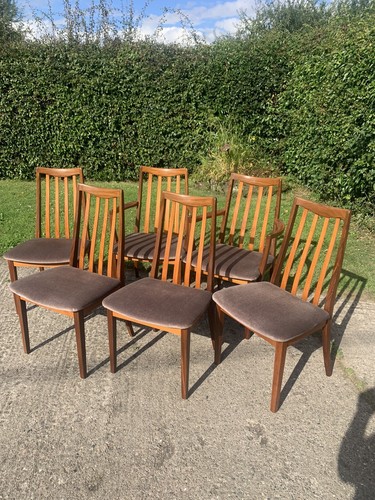 Gplan dining chairs - gplan,