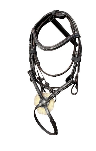 Equipride fancy stitch - , grackle