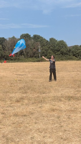 Large dolphin whale kite - large,