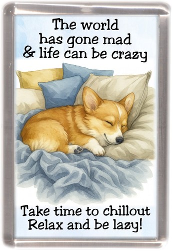 Corgi dog fridge magnet - fridge,